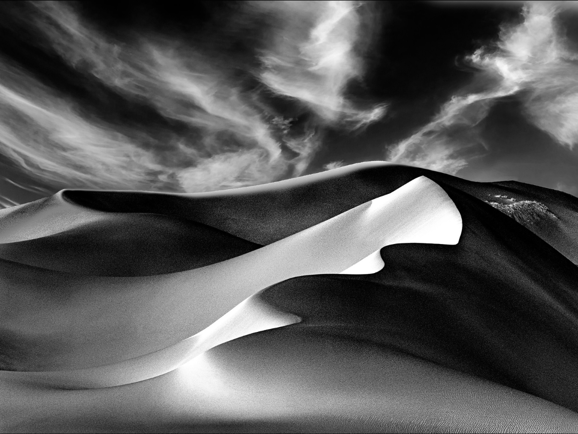 Gerhard Miller Gallery 1