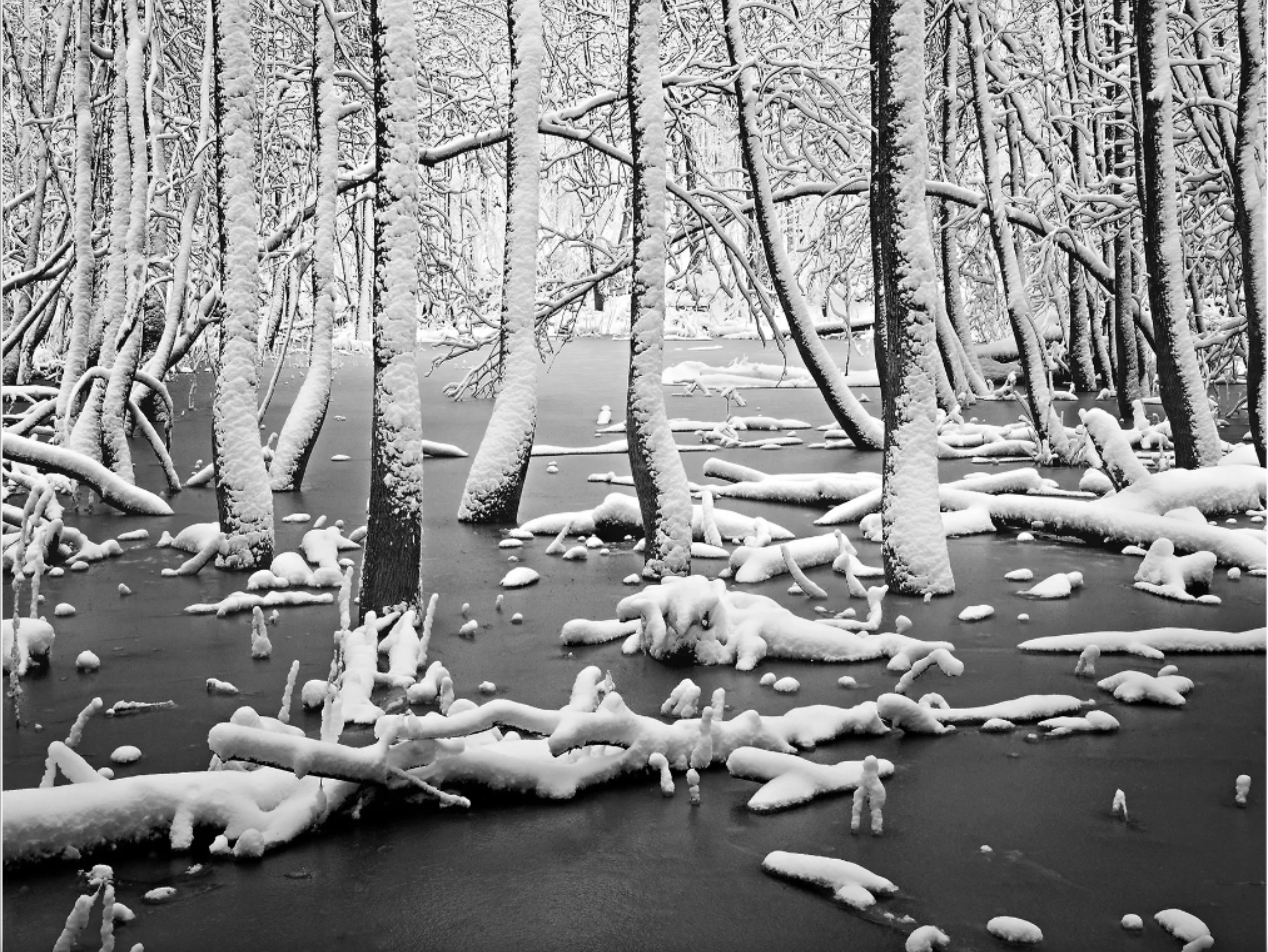 Image is not available