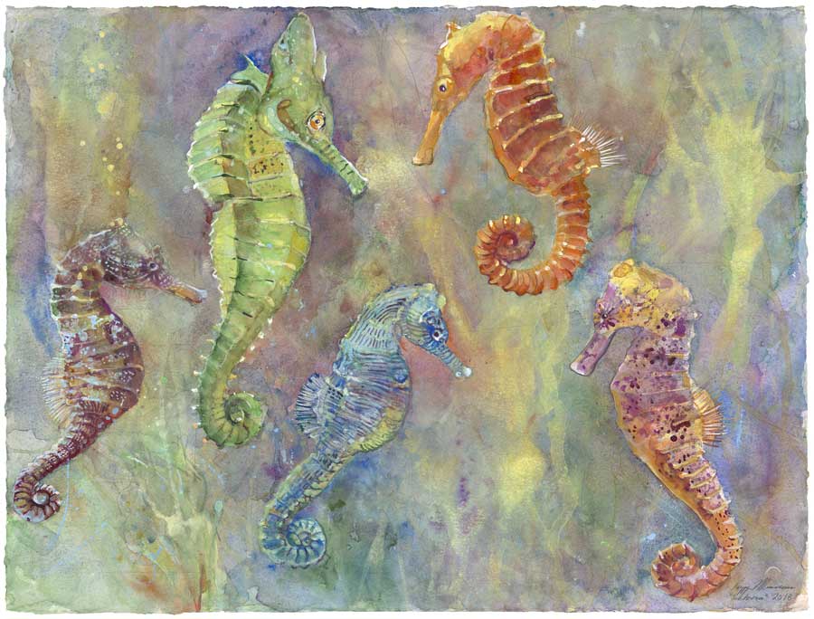 Seahorses by Peggy Macnamara